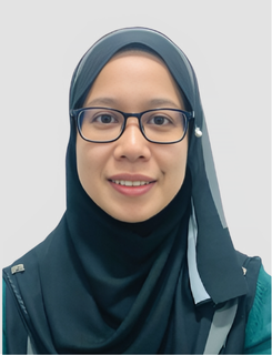 Senior Project Manager